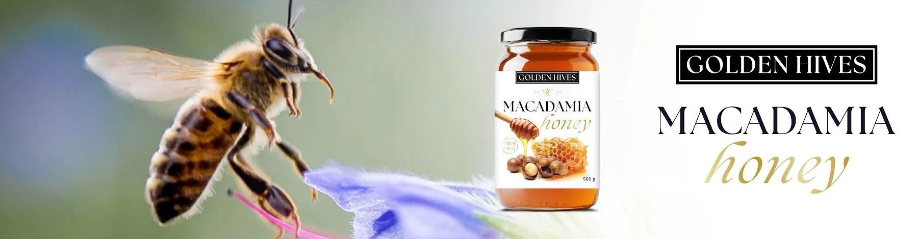 Golden Hives brand banner