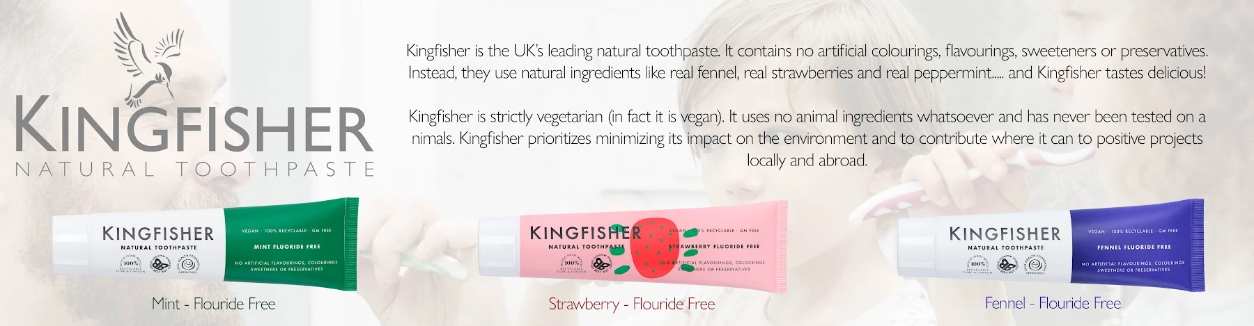 Kingfisher Toothpaste brand banner