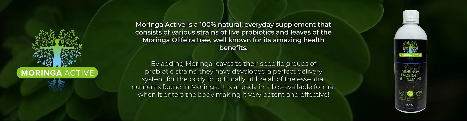 Moringa Active brand banner