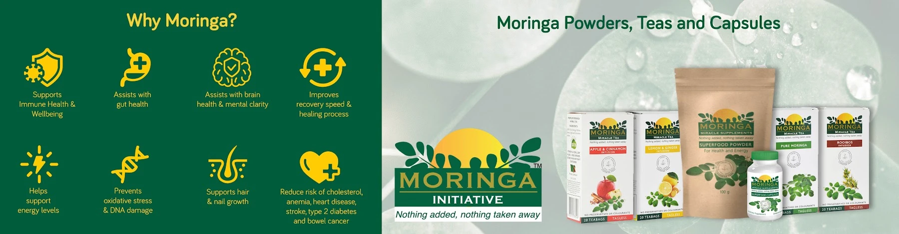 Moringa Initiative brand banner
